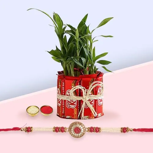 Exceptional Kitkat Arrangement with 2 Tier Lucky Bamboo Plant