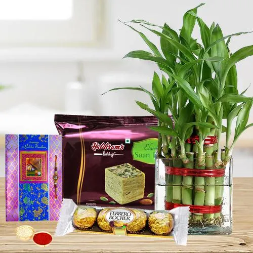 Eco Friendly Rakhi Assortment Gifts