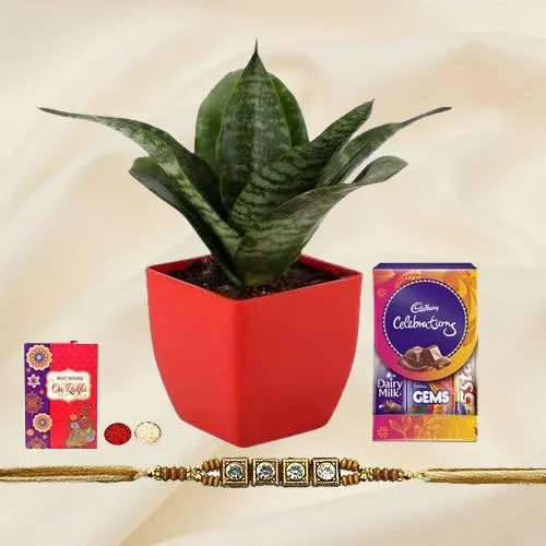 Cheerful Snake Plant N Stone Rakhi