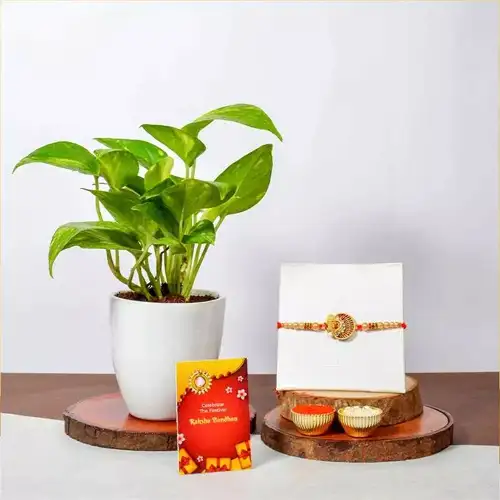 Attractive Ganesh Rakhi N Money Plant